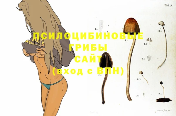 мдпв Белокуриха