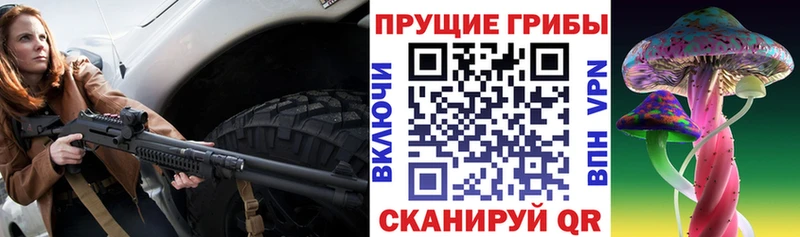 где купить наркотик  мега сайт  Галлюциногенные грибы Magic Shrooms  Черкесск 